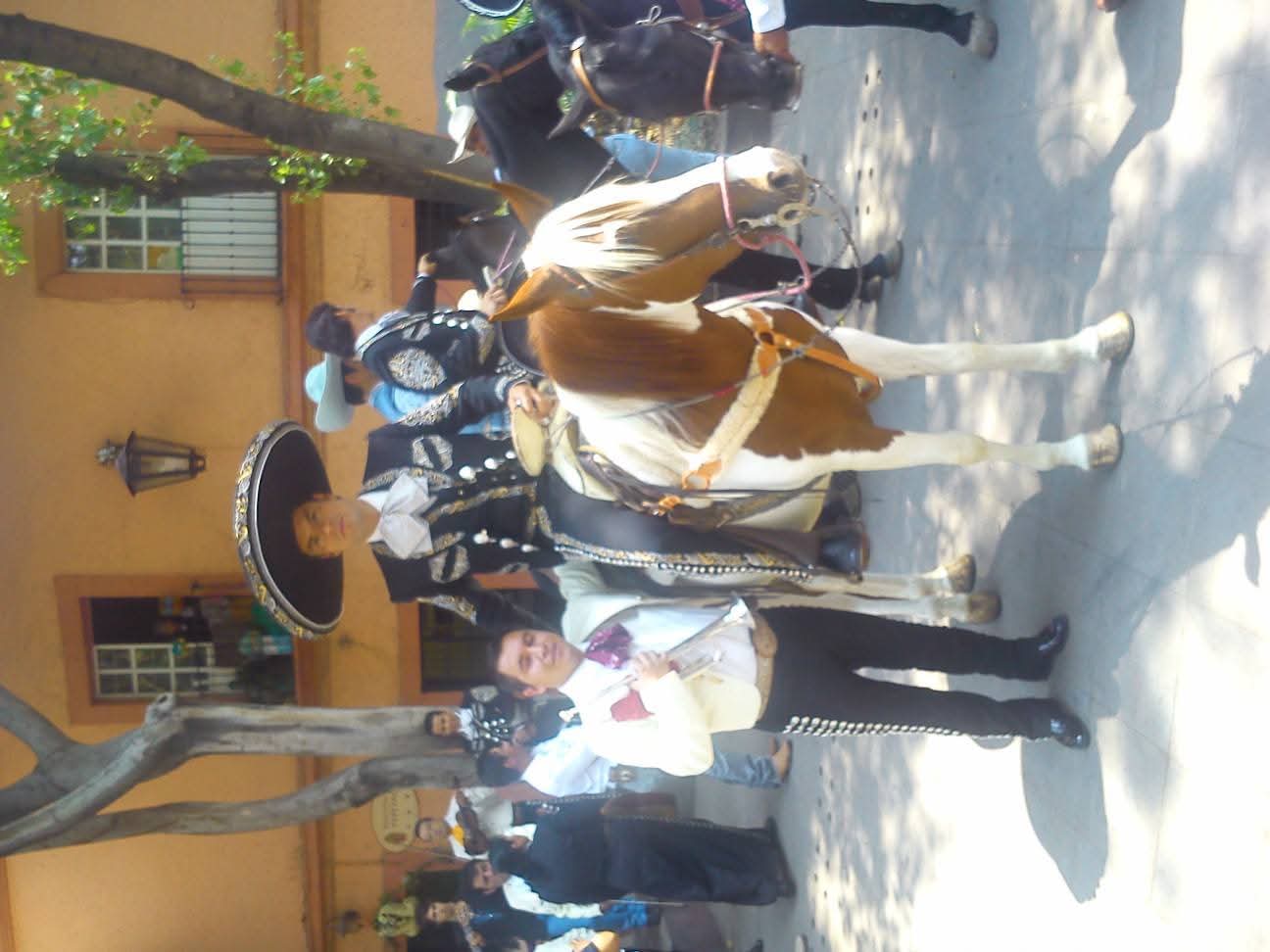 Presentación de Mariachi Raíces de México